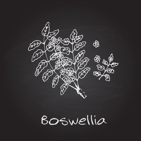 what is boswellia? what are good things about boswellia?